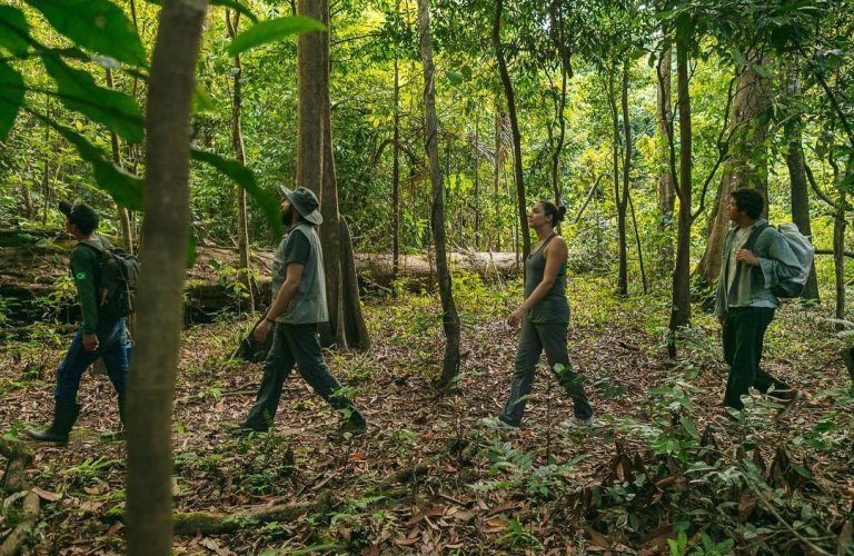 Pacote de Viagem para Amazônia na Reserva Mamirauá Pousada Uacari