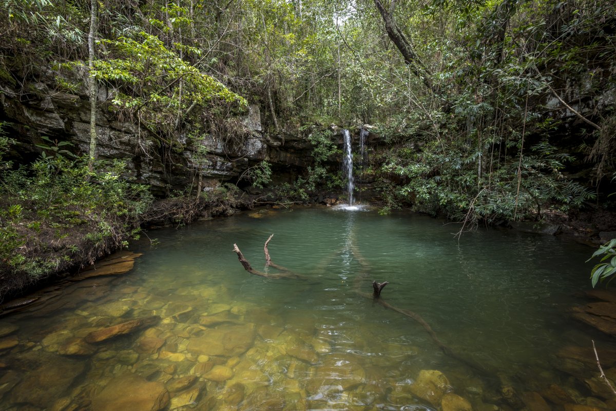 Pacotes de Viagem para a Chapada dos Veadeiros