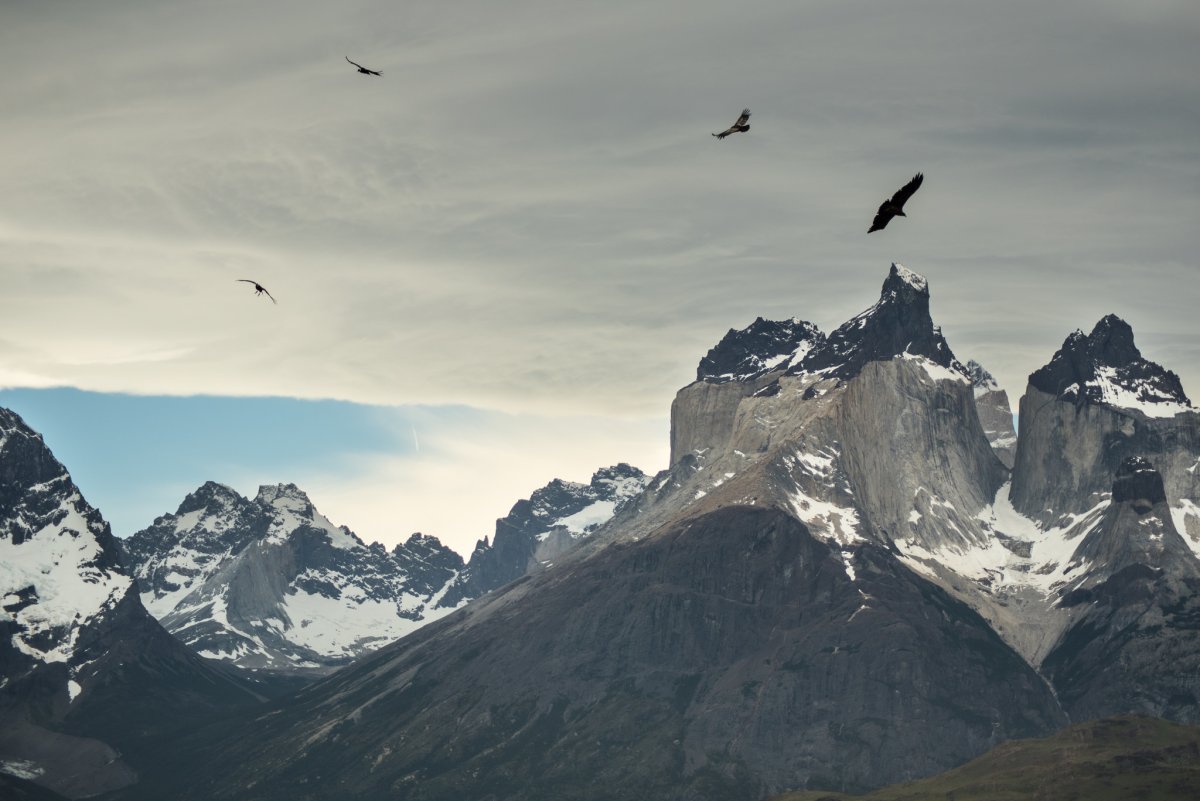 Pacotes de Viagem para Patagônia Chilena Torres del Paine