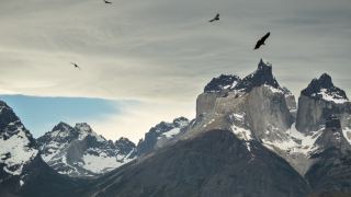 Pacotes de Viagem para Patagônia Chilena Torres del Paine