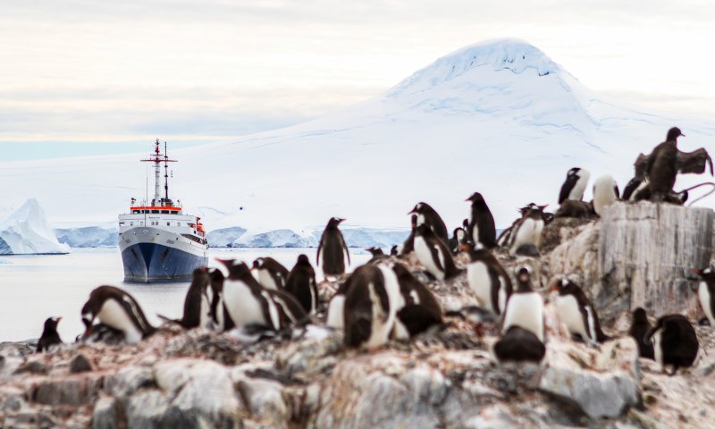 Cruzeiro na Antártica - Navio MV Ushuaia