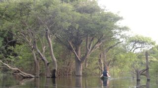 Pacote de Viagem para a Amazônia com Juma Amazon Lodge