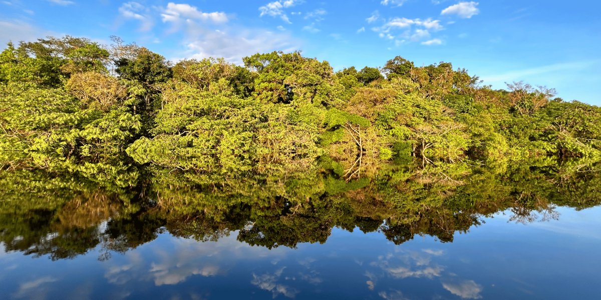 Pacote de Viagem para a Amazônia com Navegação no Rio Negro MV Desafio