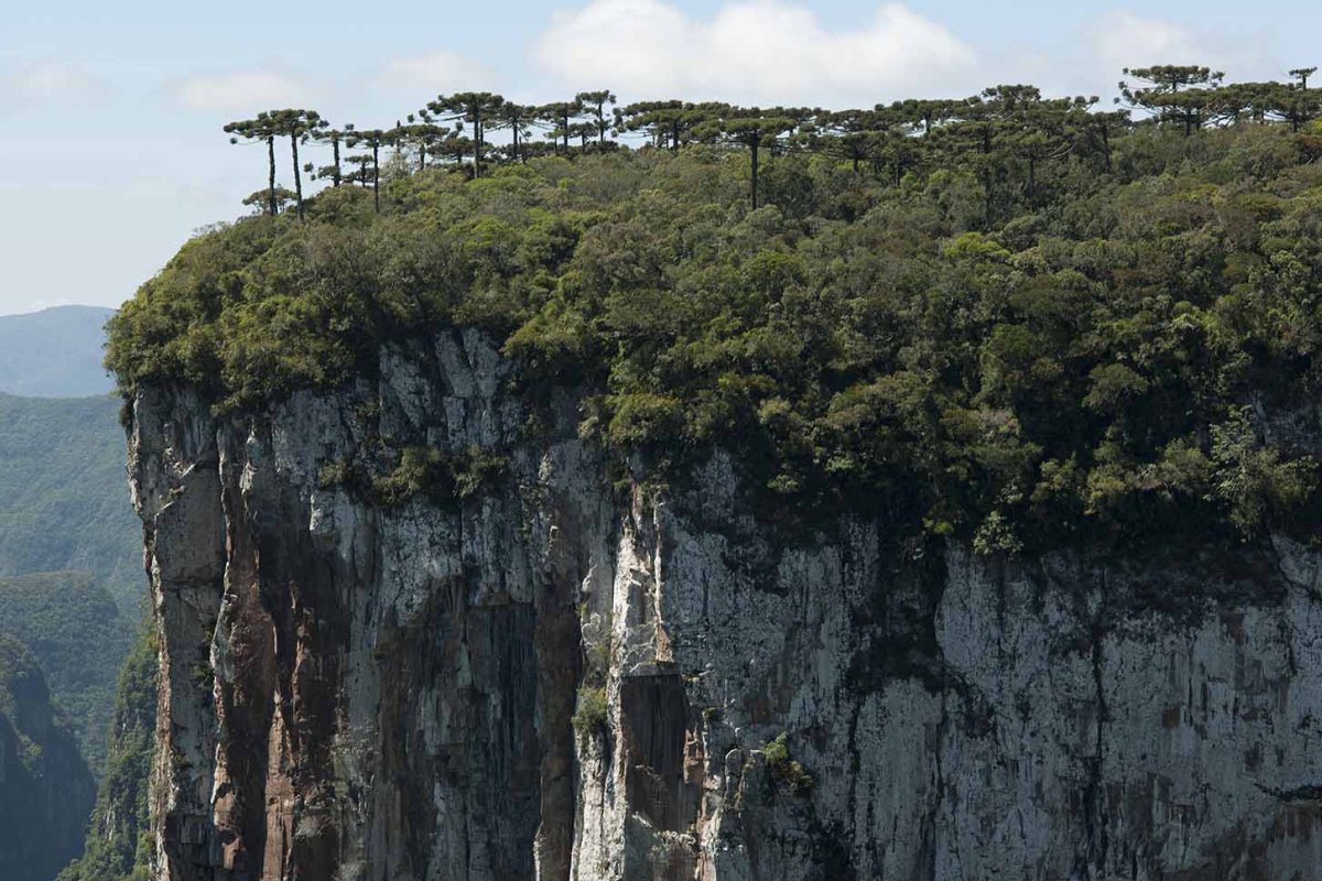Pacotes de Viagem para os Aparados da Serra
