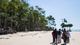 Pacotes de Viagem para Ilha do Marajó Pará